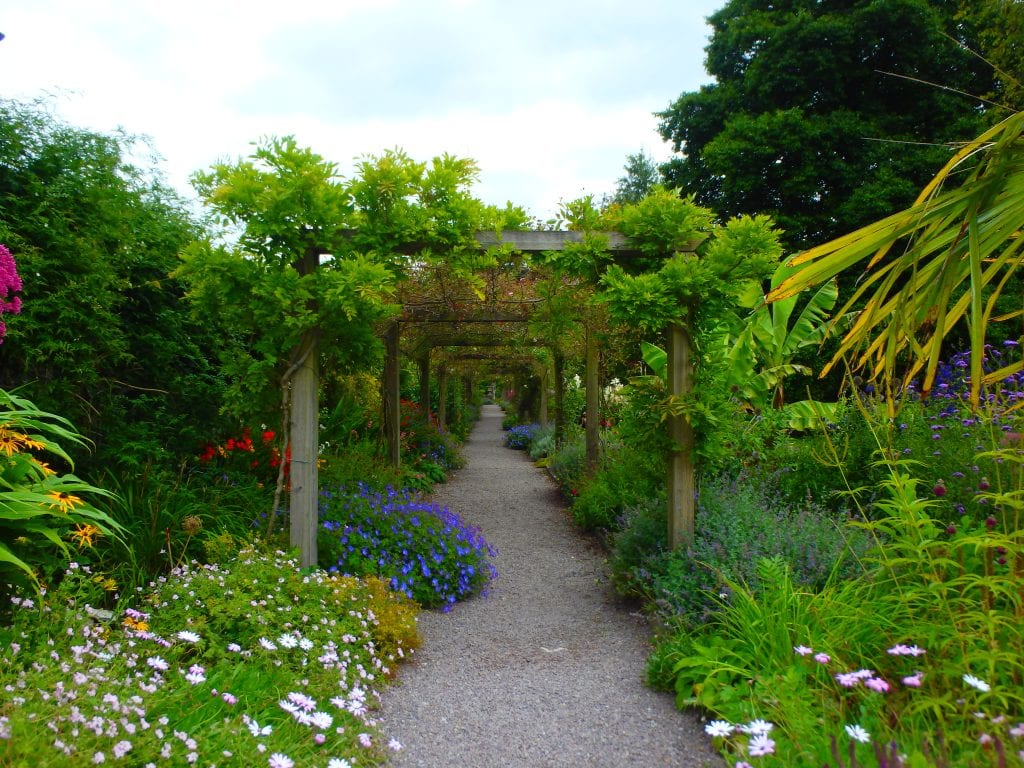 herbaceous border blarney castle