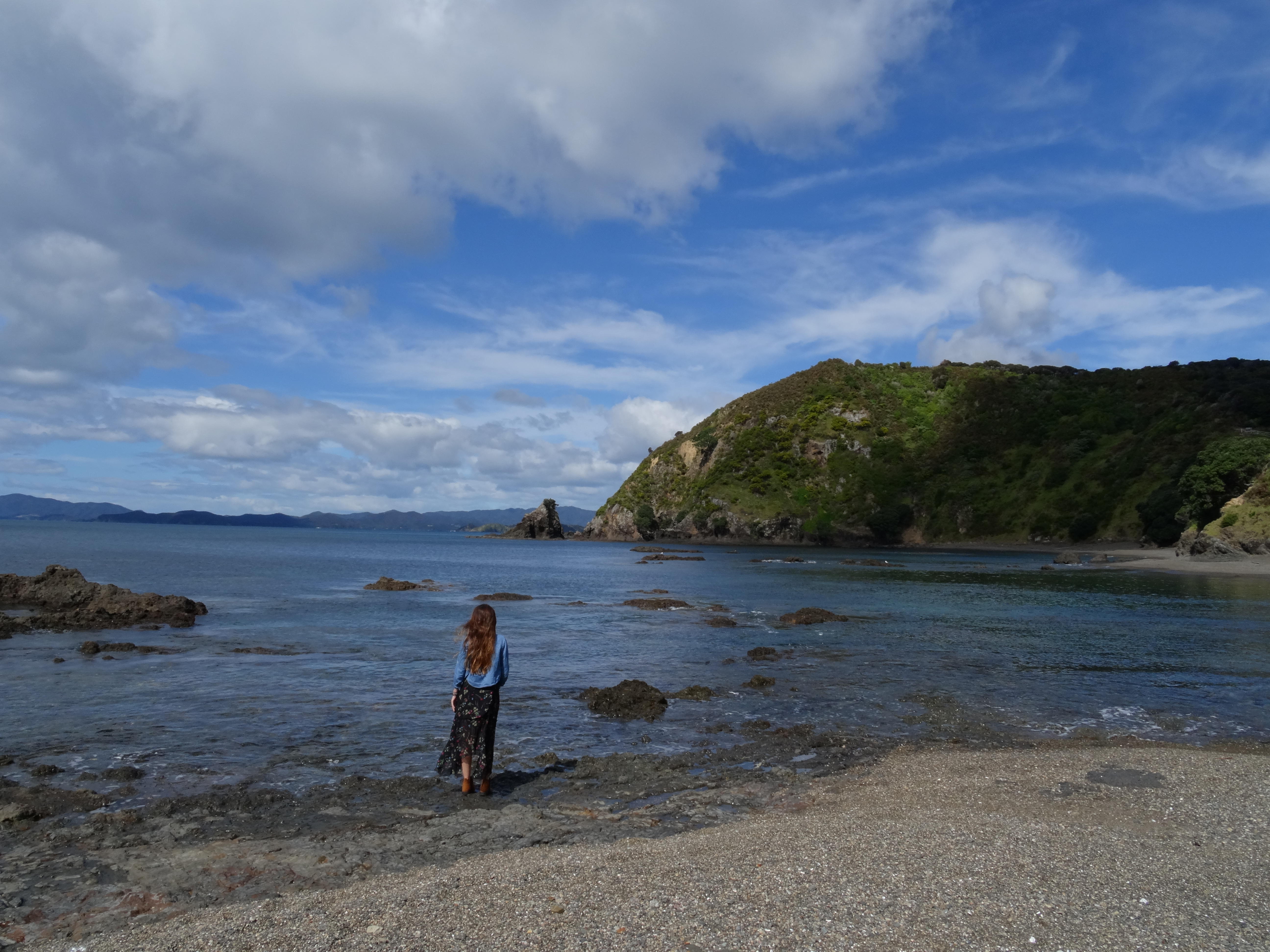 beach near opito bay kerikeri