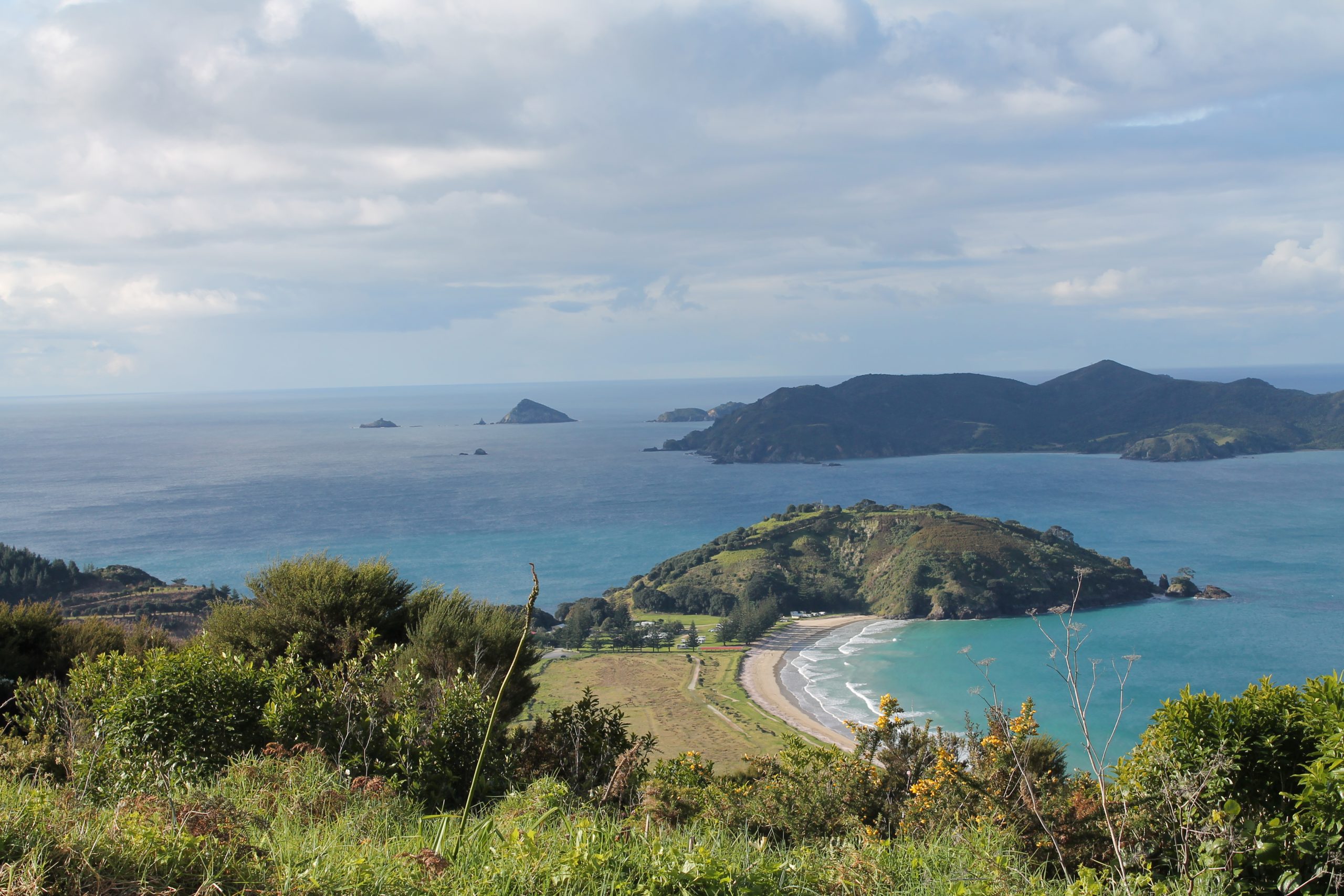 matauri bay viewpoint