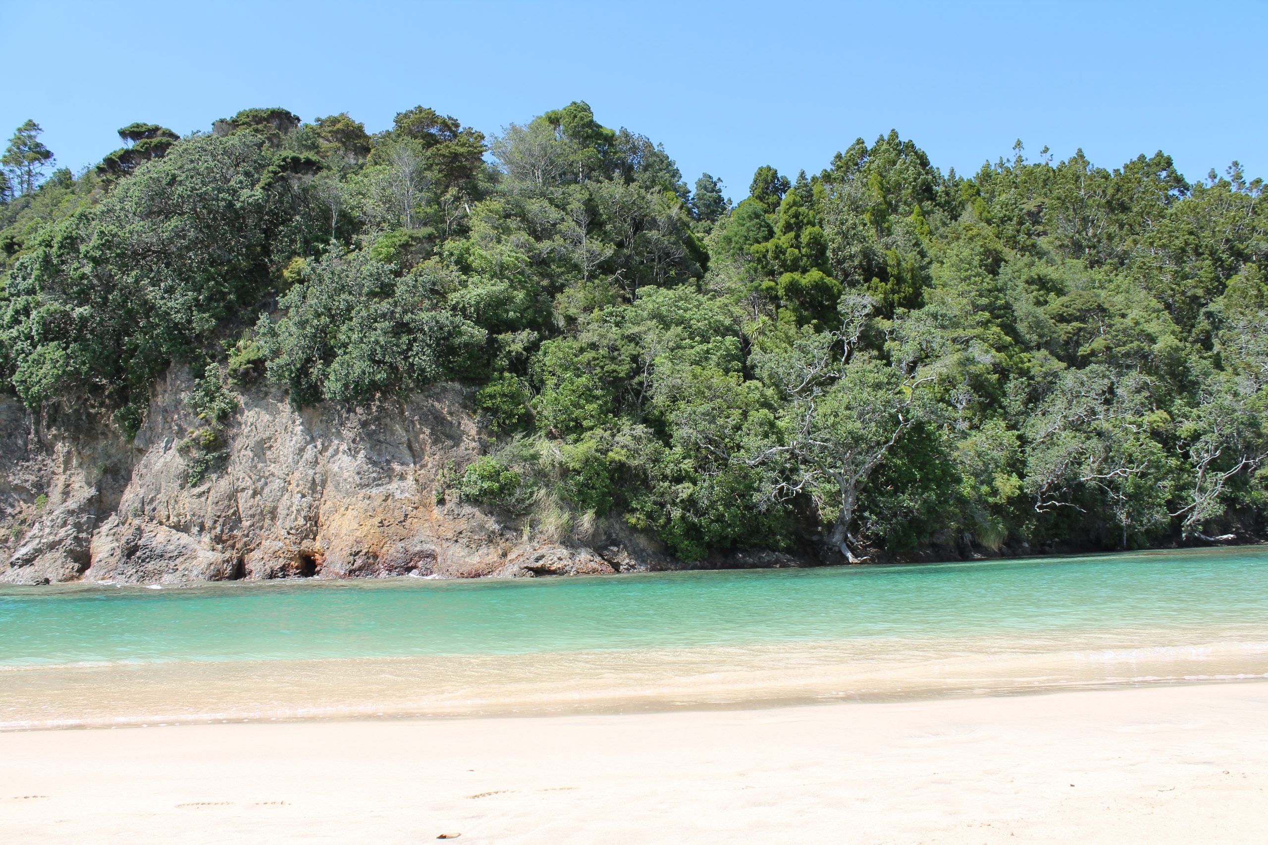 manapouri beach new zealand