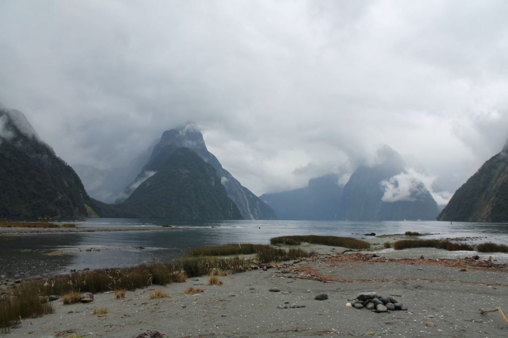 milford sound scenery