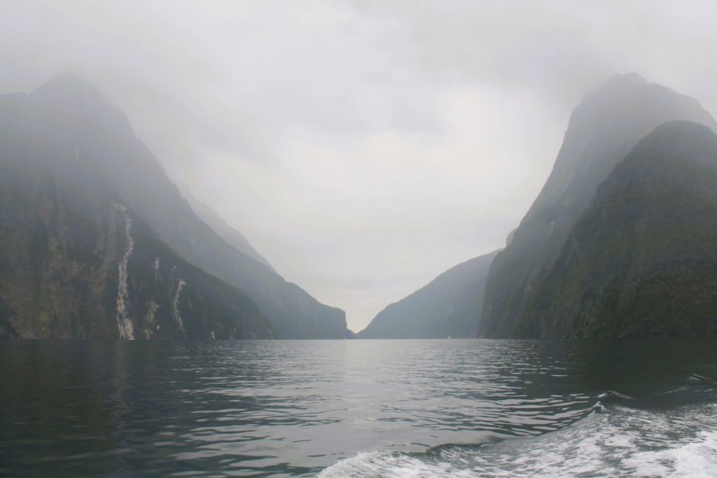 a moody day on milford sound cruise