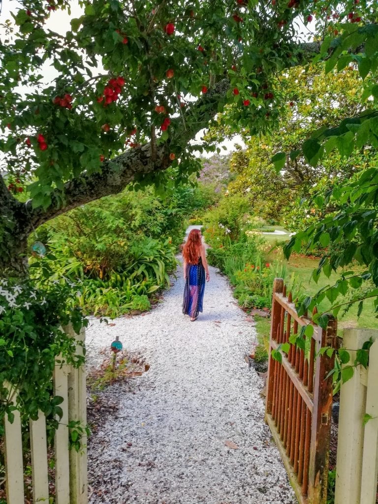 me stone store path kerikeri