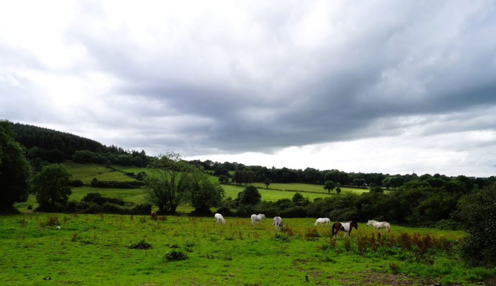 countryside in limerick ireland