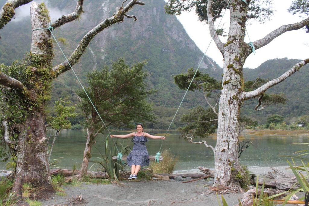 milford sound swing