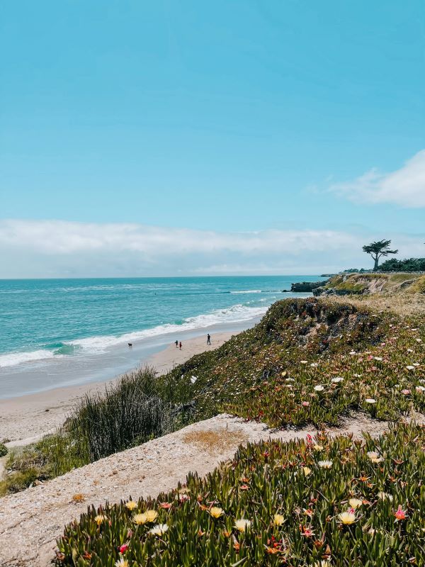 beach in santa cruz 