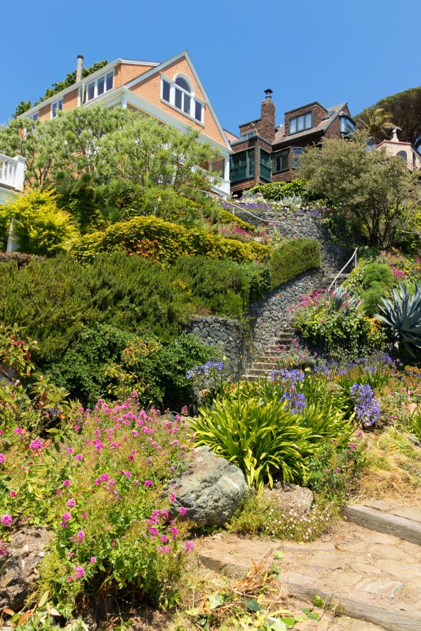 house with flowers in sausalito