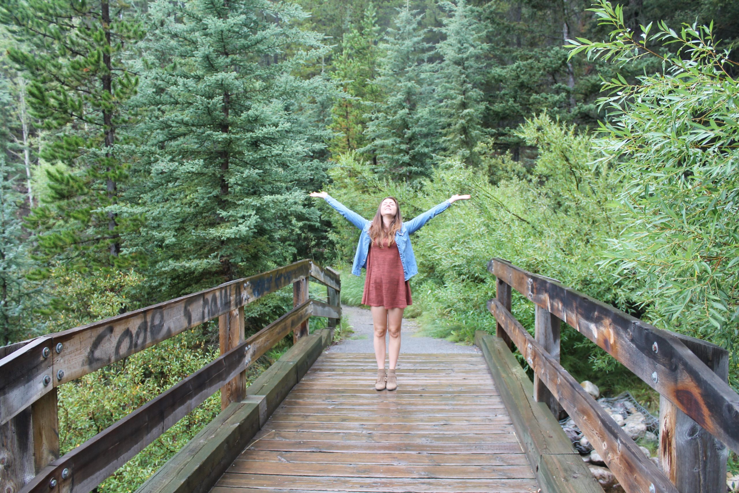 the trail to sunwapta falls