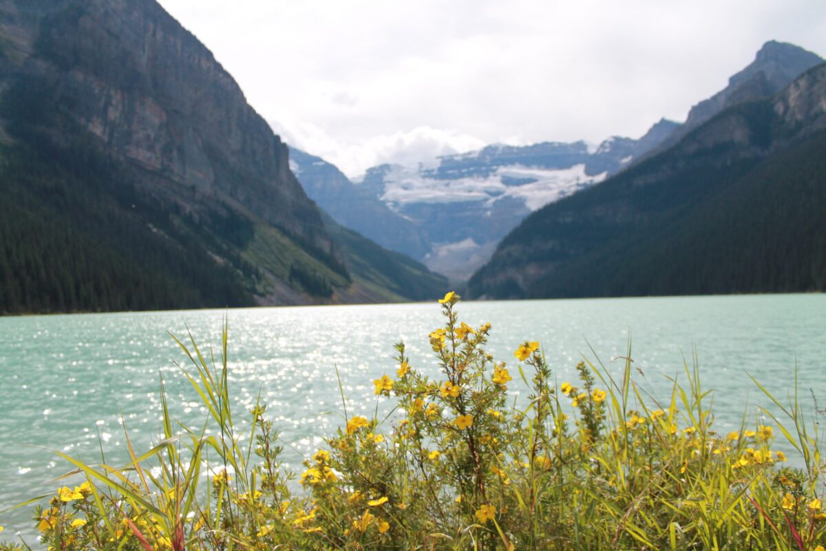 lake louise in summer