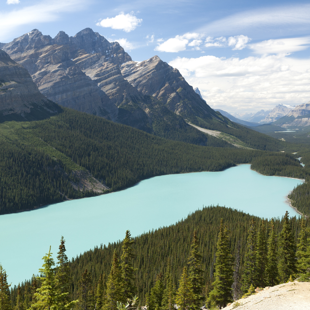 Peyto Lake Alberta