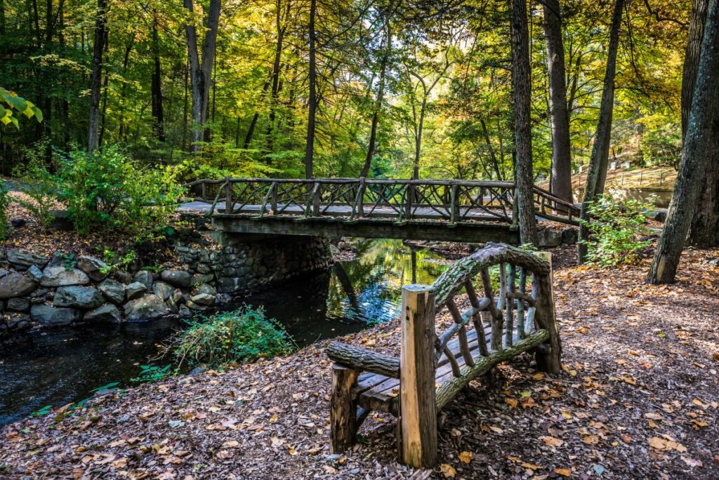 sleepy hollow woods