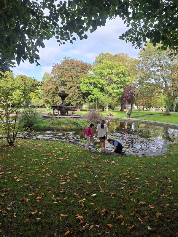 fitzgeralds park pond in autumn