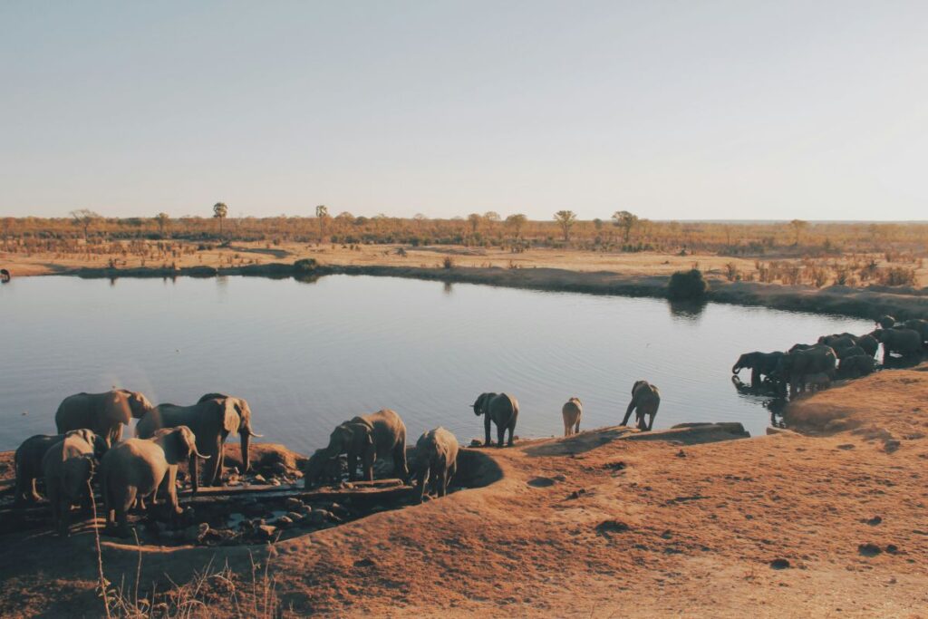 water source hwange national park