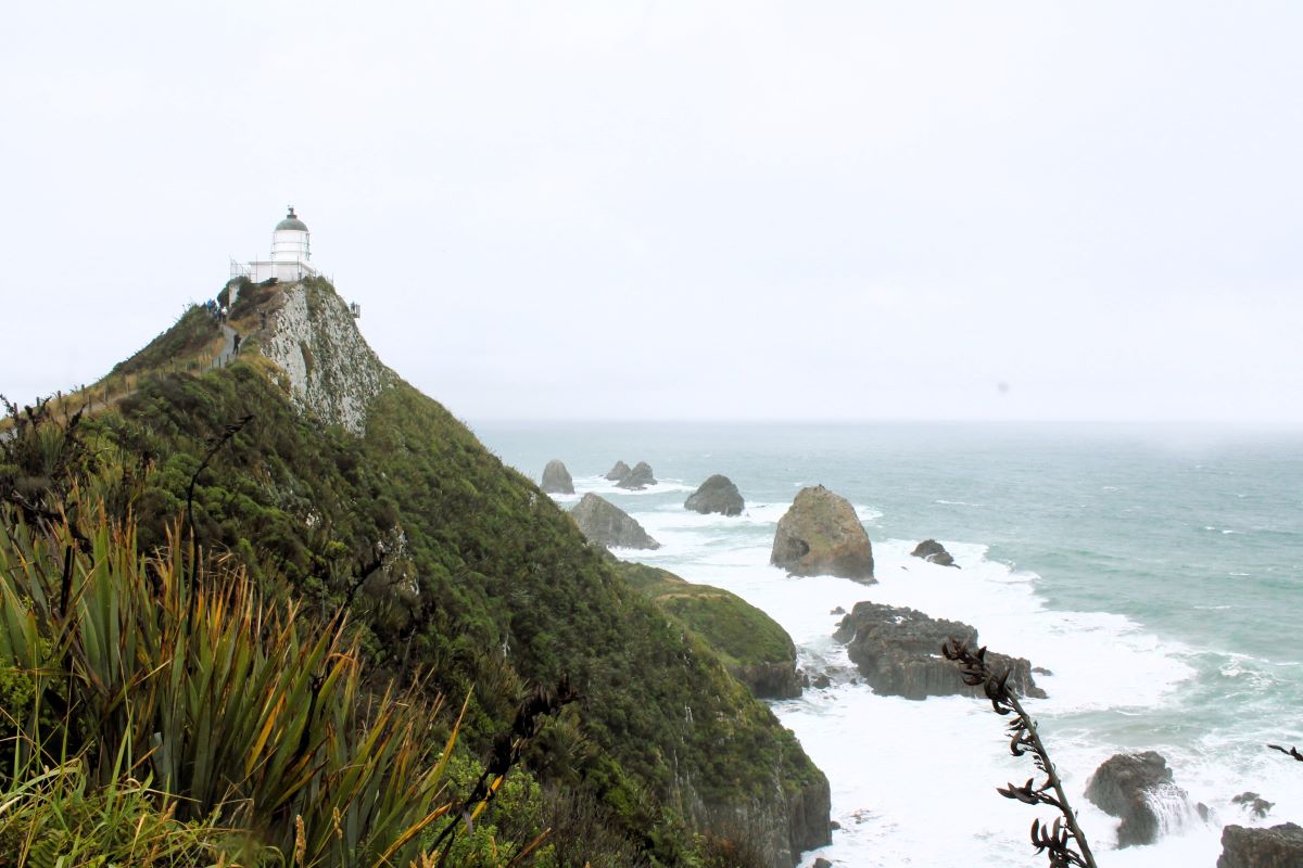 nugget point lighthouse best campervan road trips new zealand