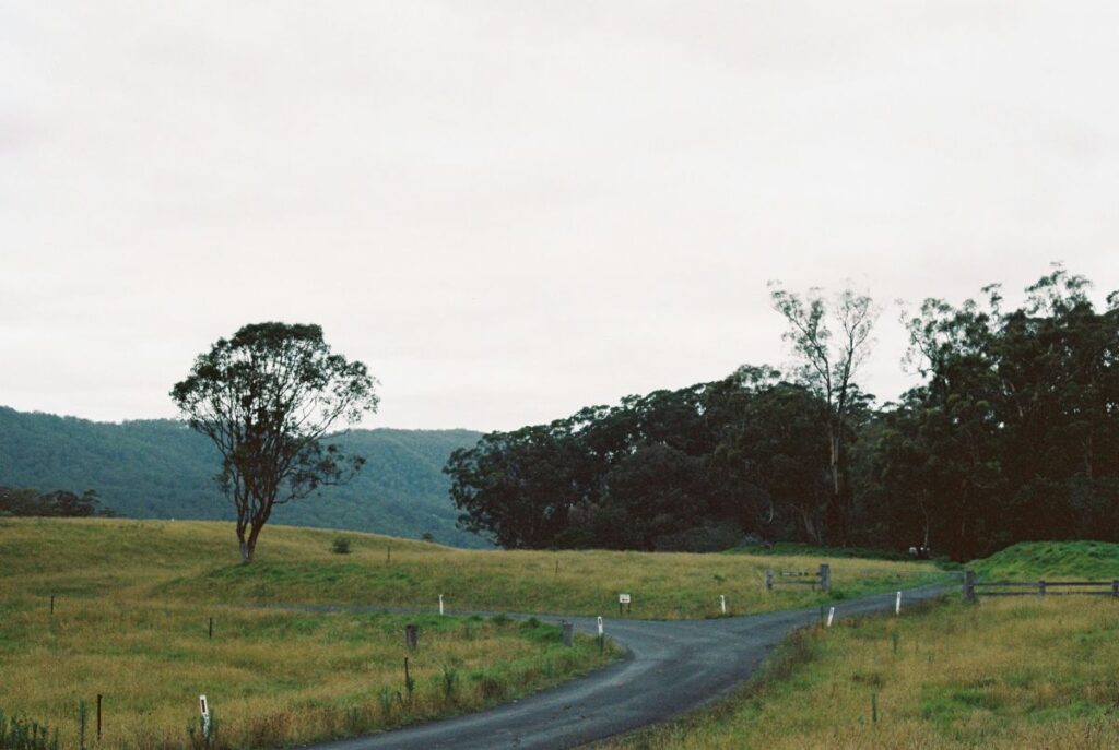 road in kangaroo valley