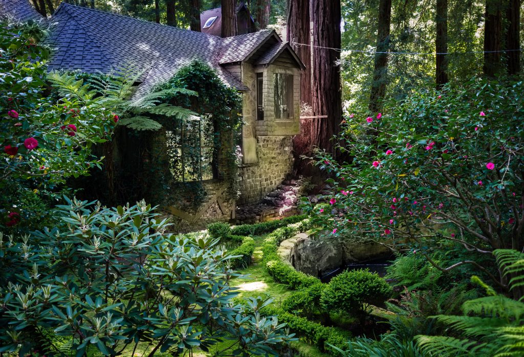 house in mill valley