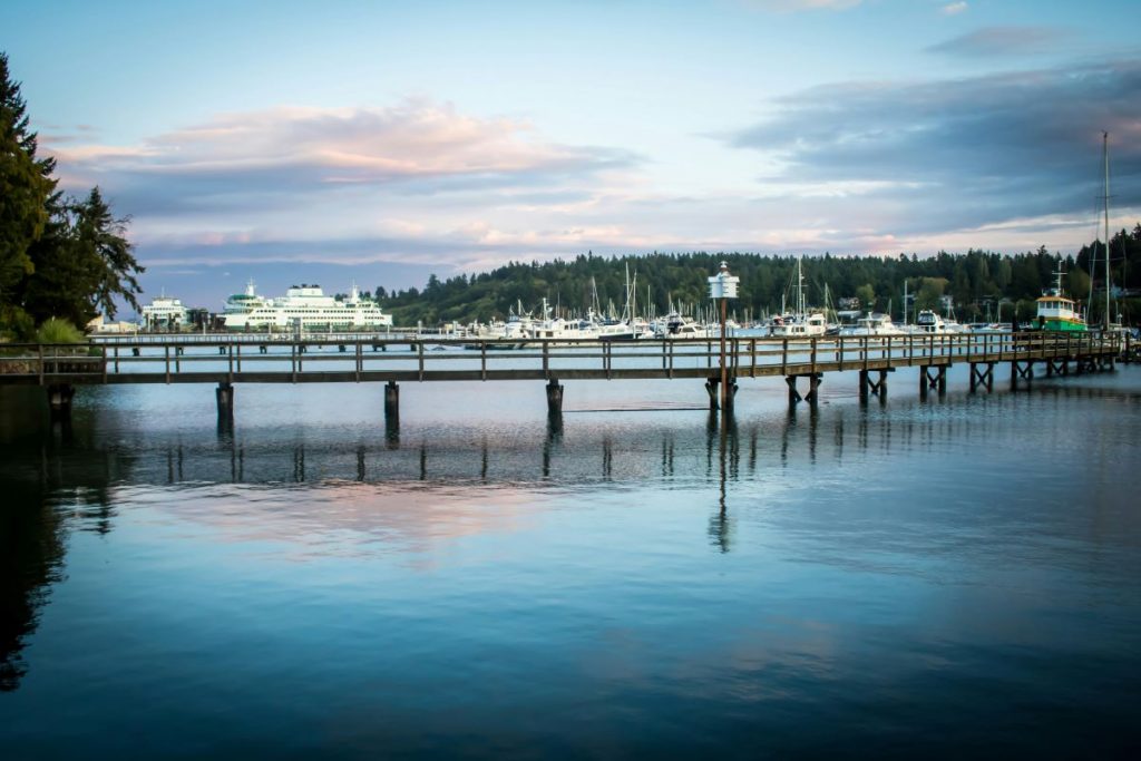 bainbridge island zoi palla