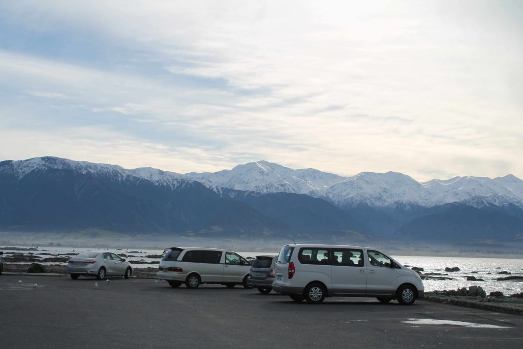 cars parked at lake pukaki 