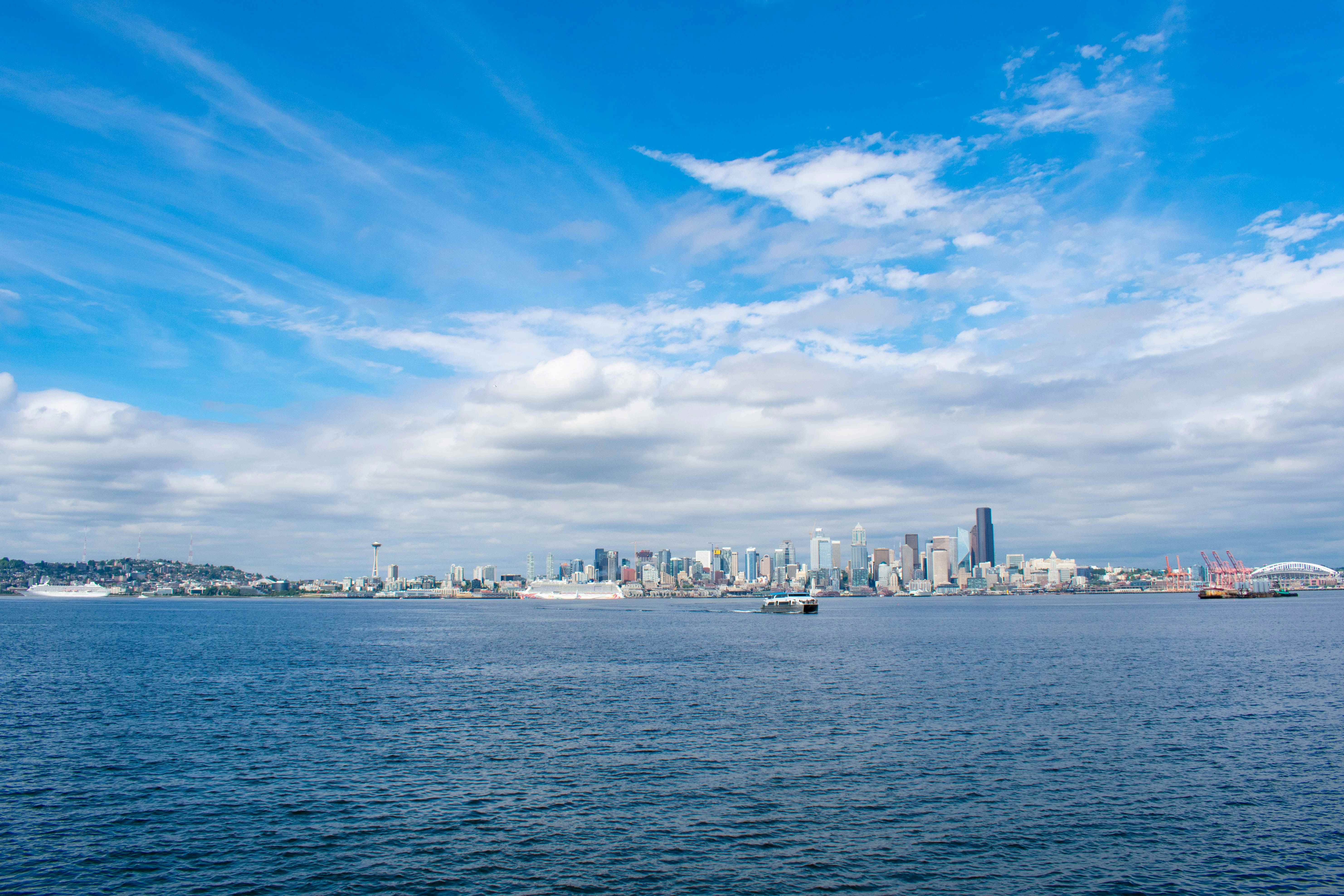 seattle from whale watching cruise