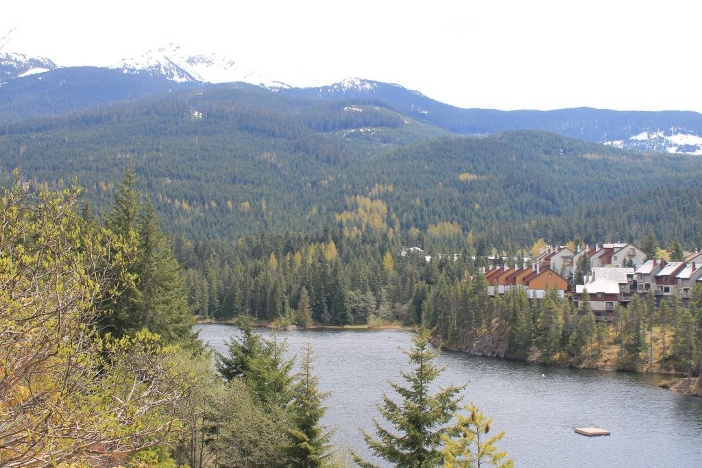 alpha lake whistler