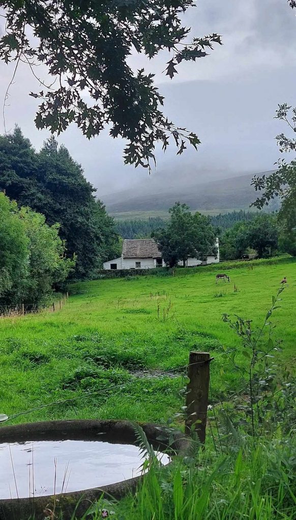 farm at killarney national park