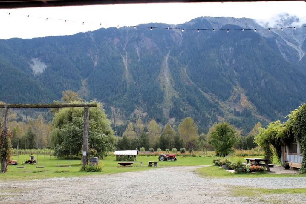 view from north arm farm