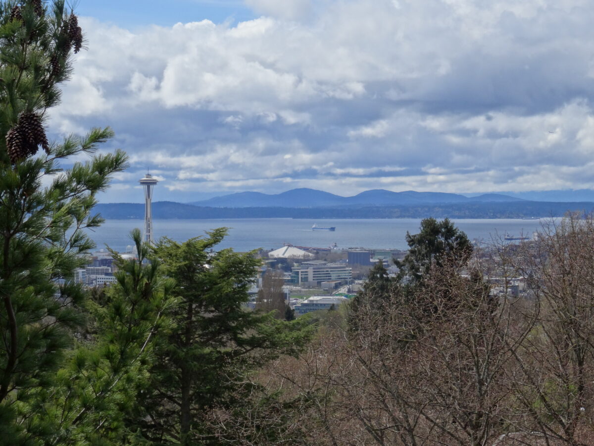 view of seattle lakeview cemetery