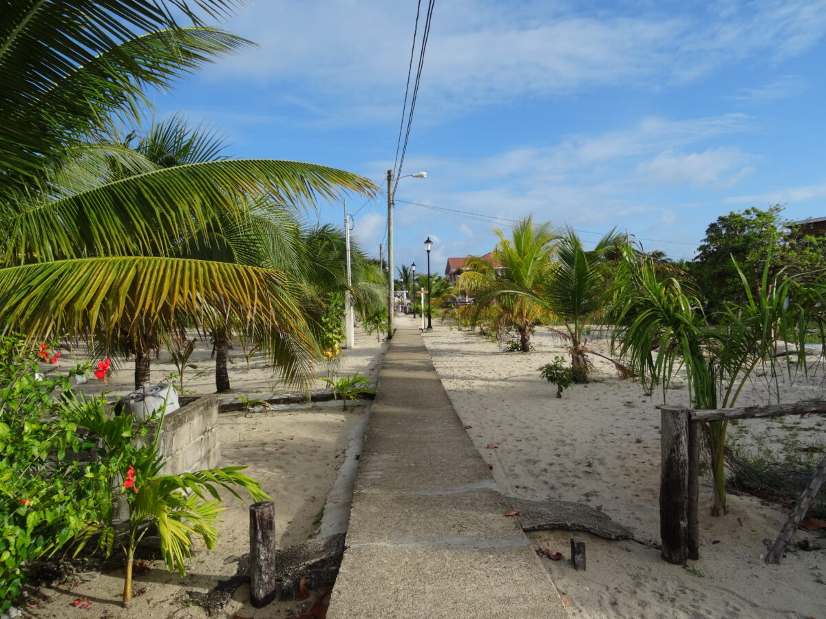 pathway placencia belize