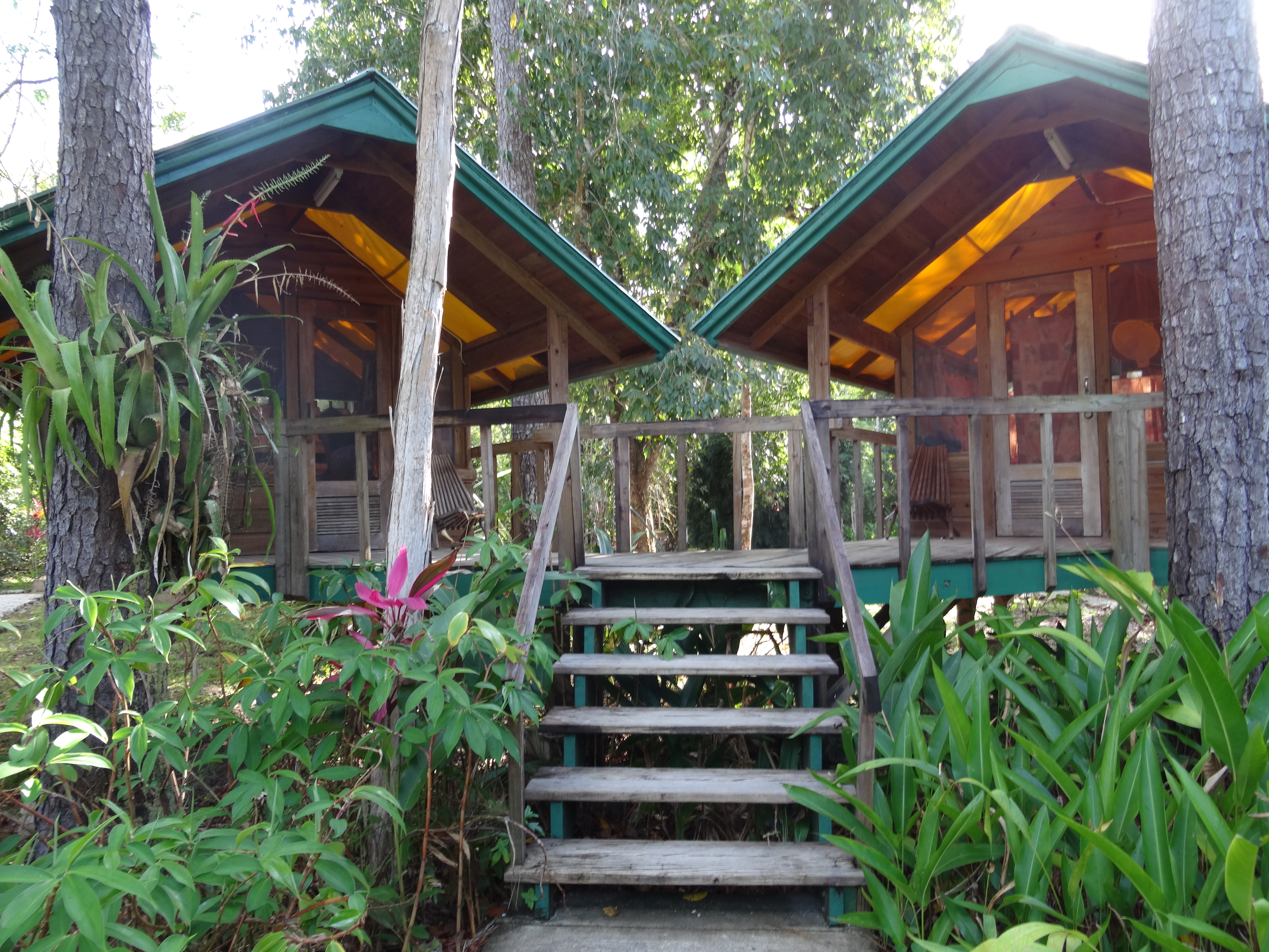 cabin at belize zoo