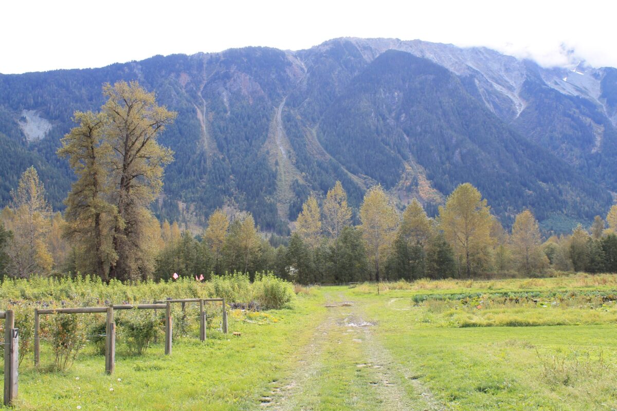 pemberton scenery