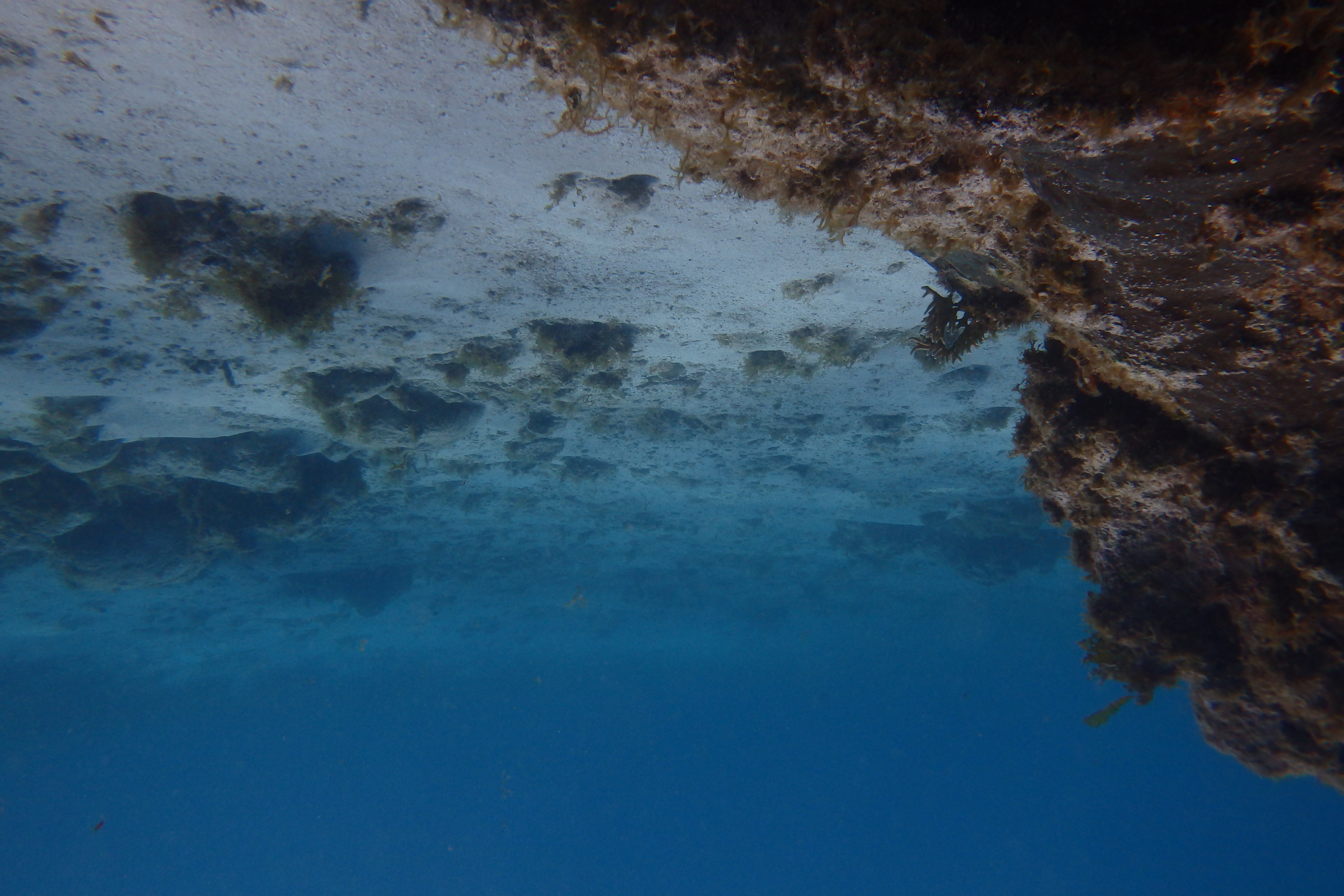 caye caulker snorkeling tour