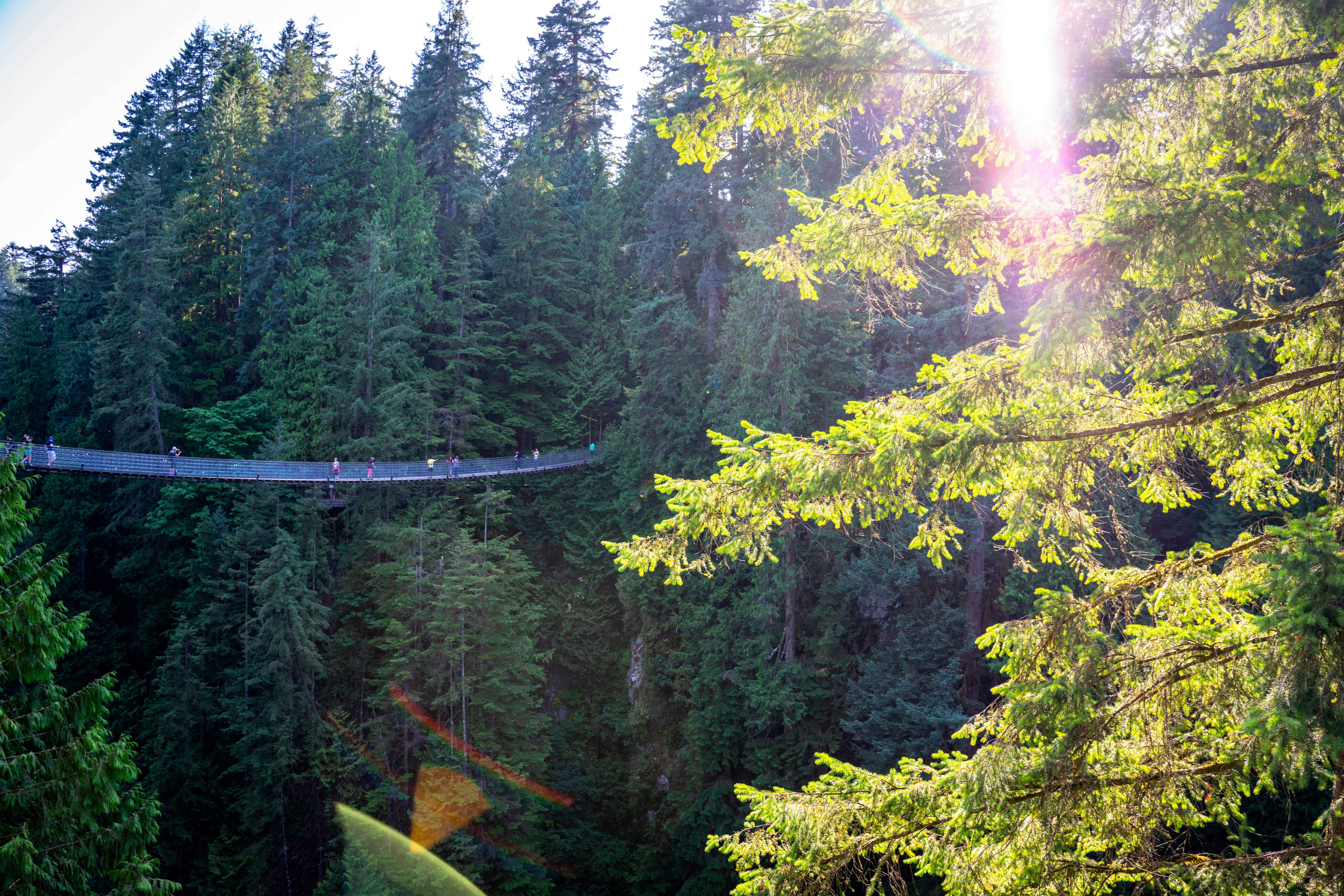 capilano suspension bridge