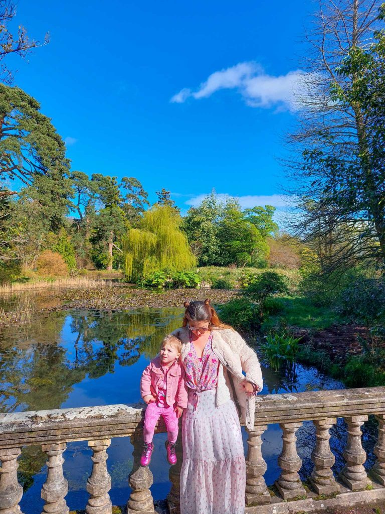 fota gardens small lake