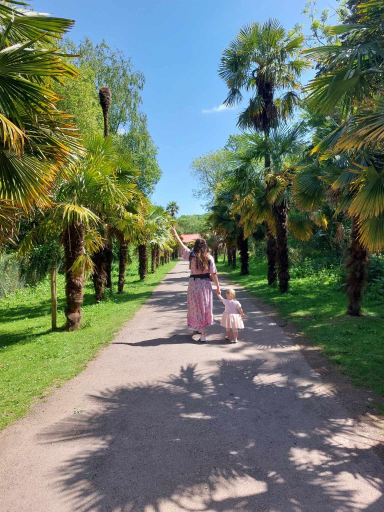 tropical pathway fota wildlife park