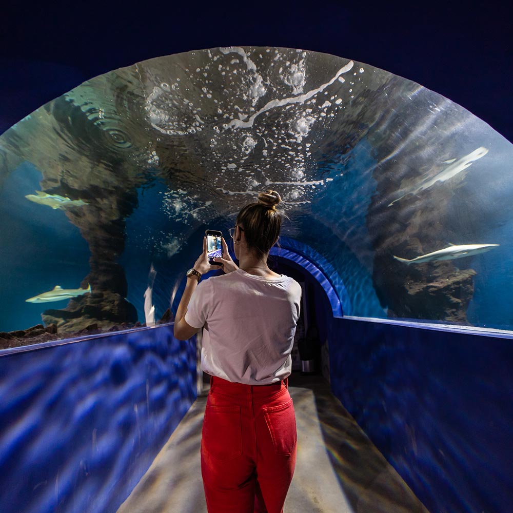 lanzarote aquarium