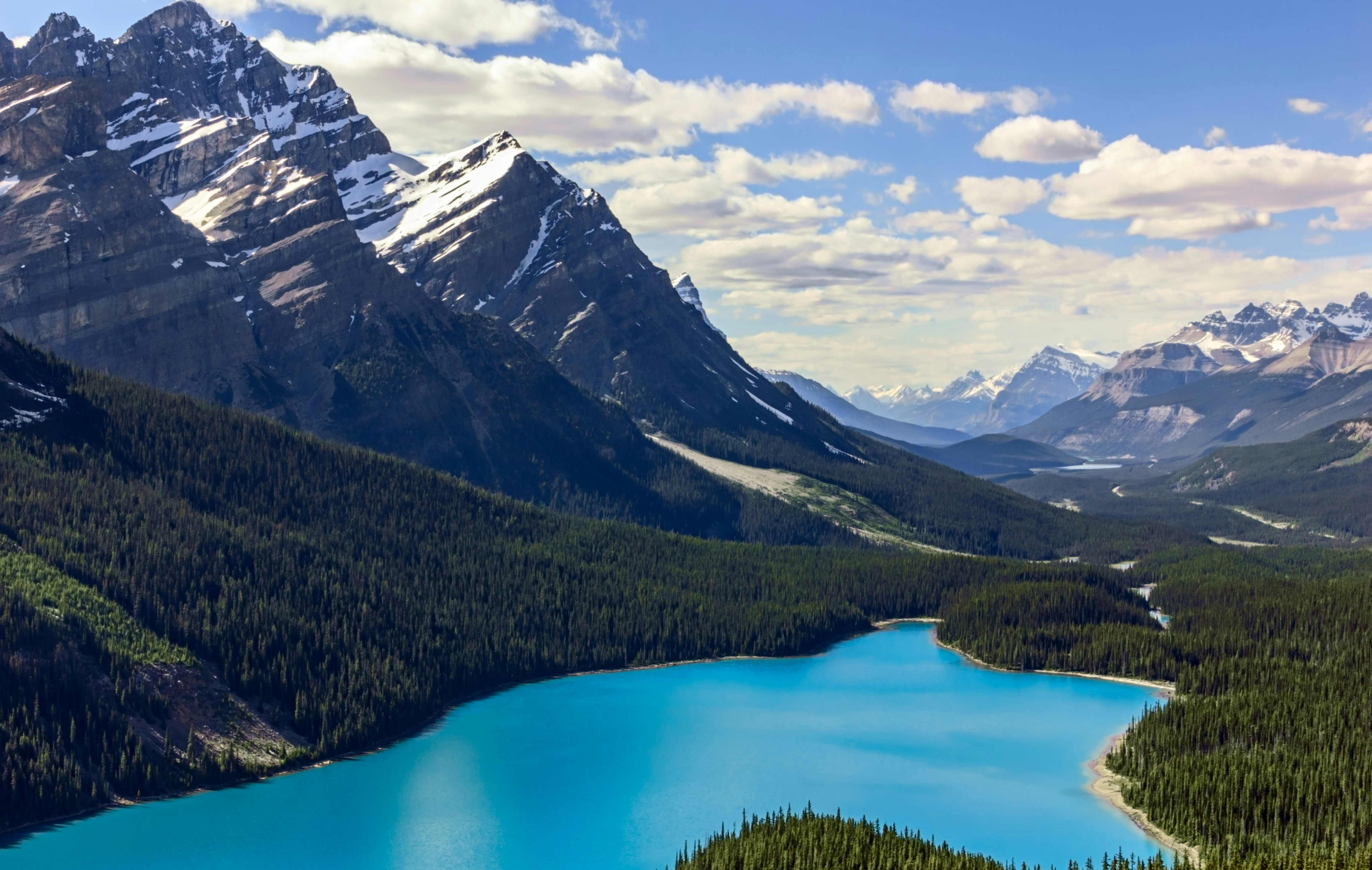 peyto lake