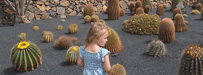 cactus garden lanzarote with kids