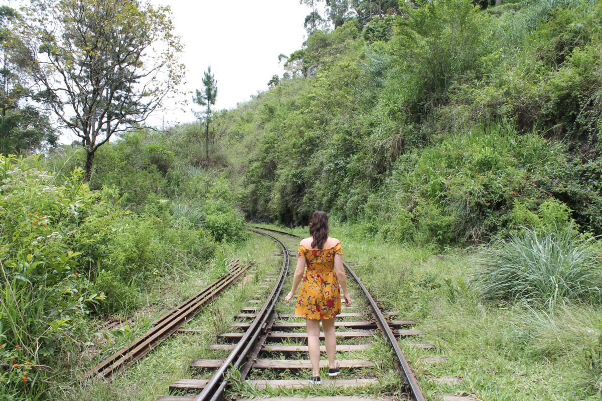 train tracks ella