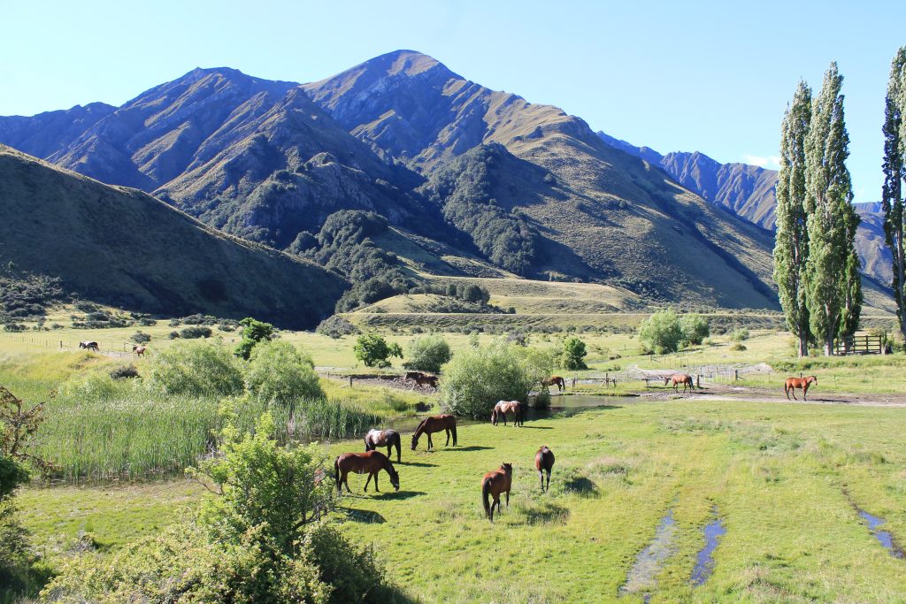 moke lake scenery