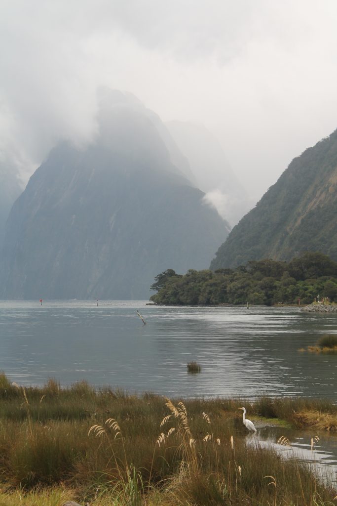 mitre peak milford sound