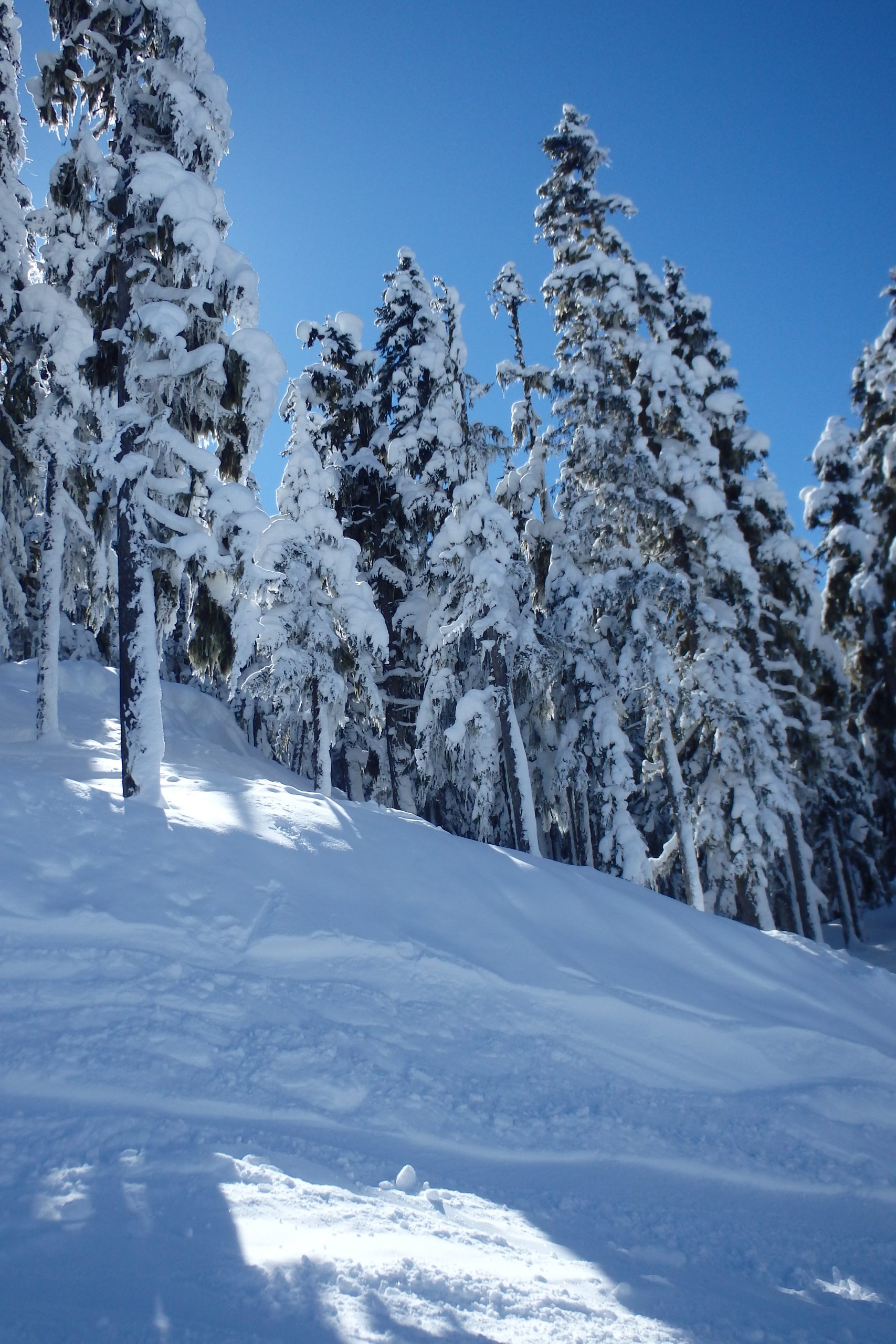 whistler off-piste