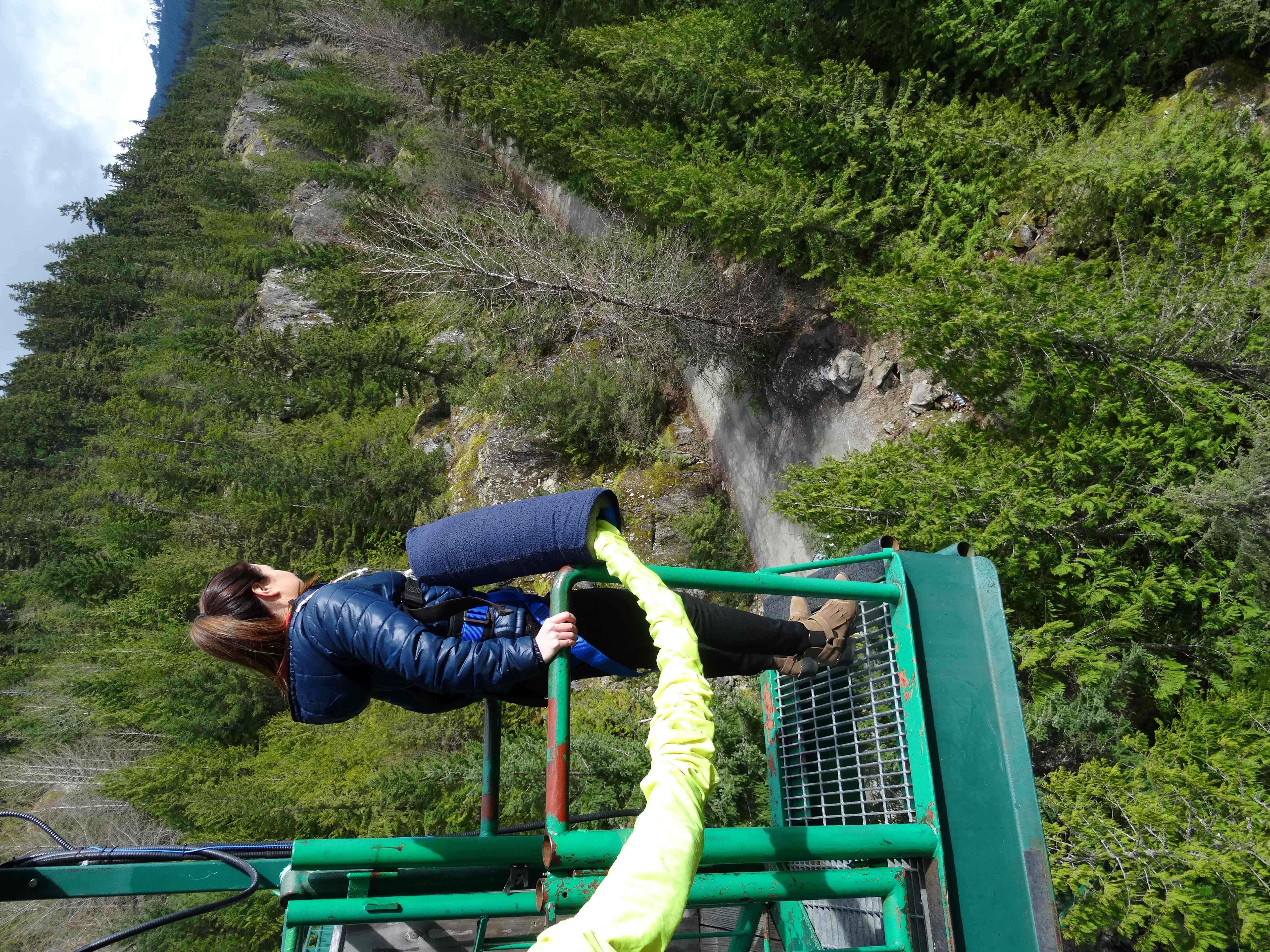 whistler bungee 