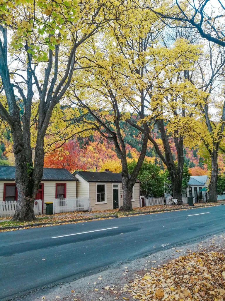 buckingham street in arrowtown