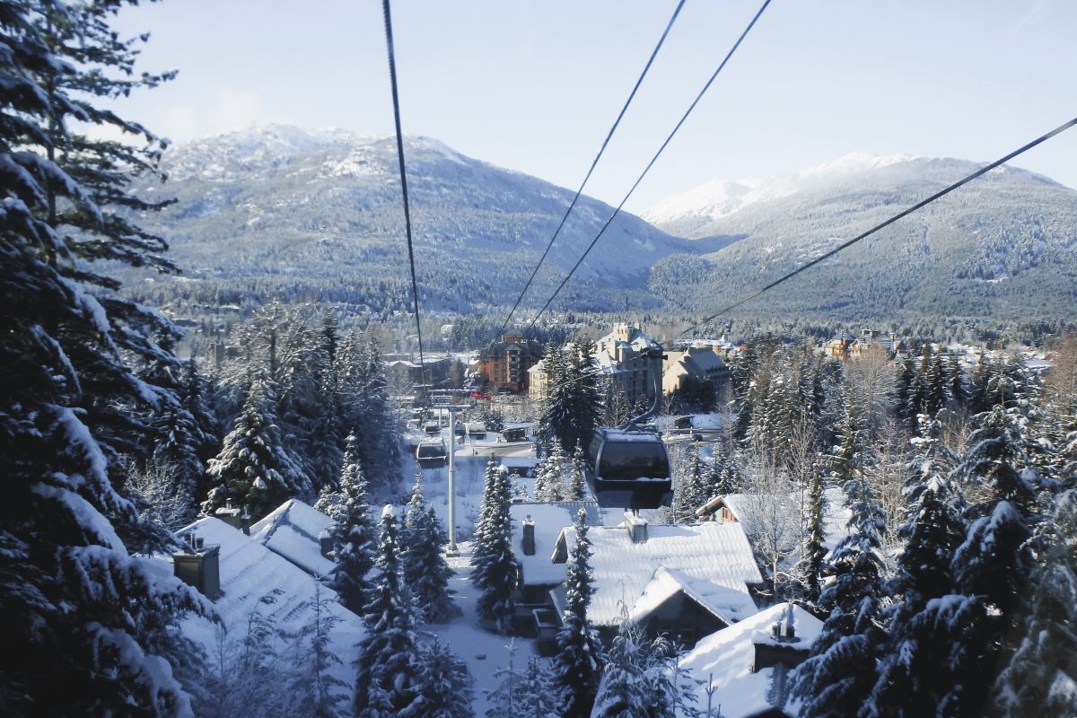 whistler in winter snowy scene