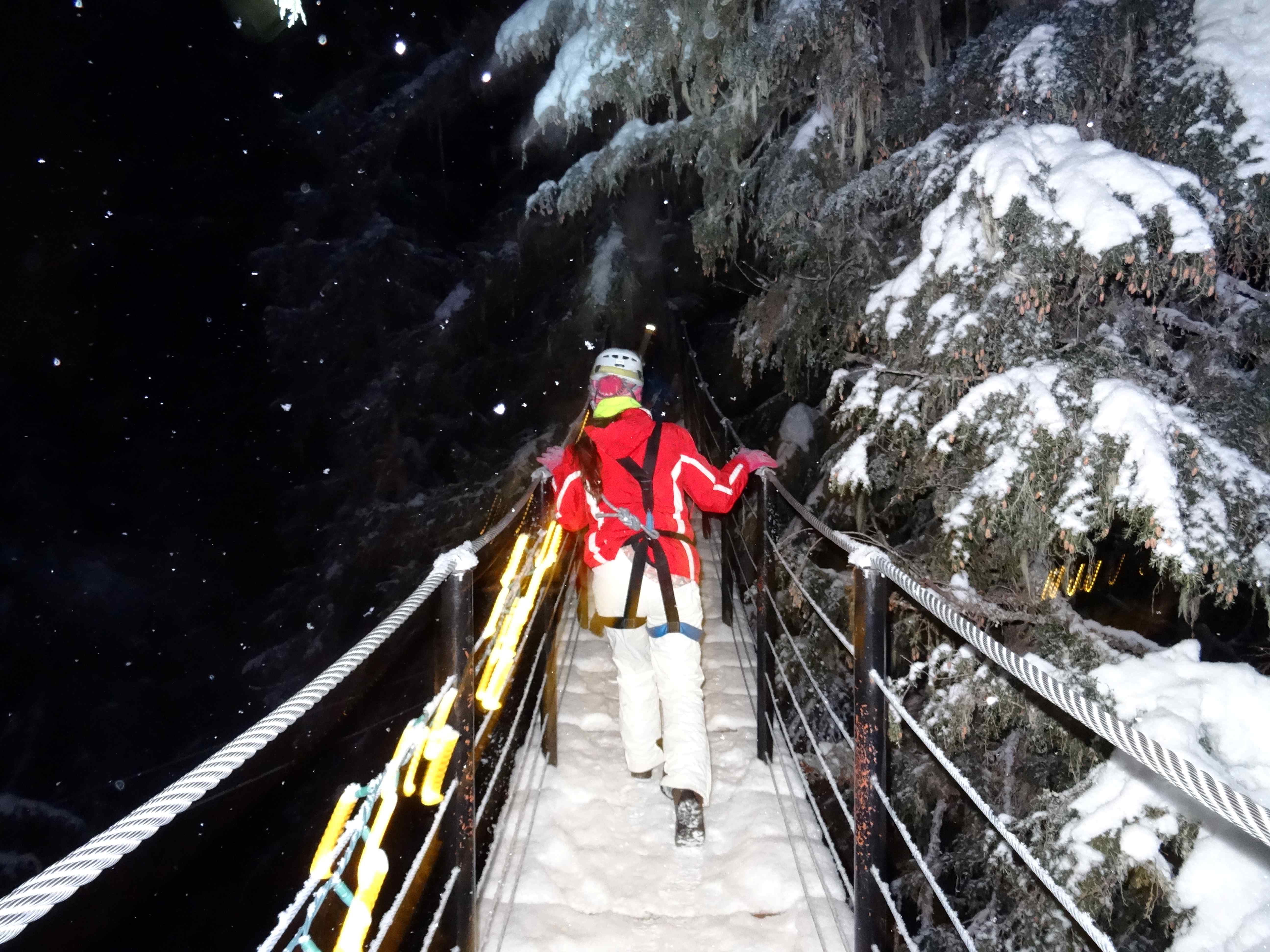 ziplining bridge whistler in winter