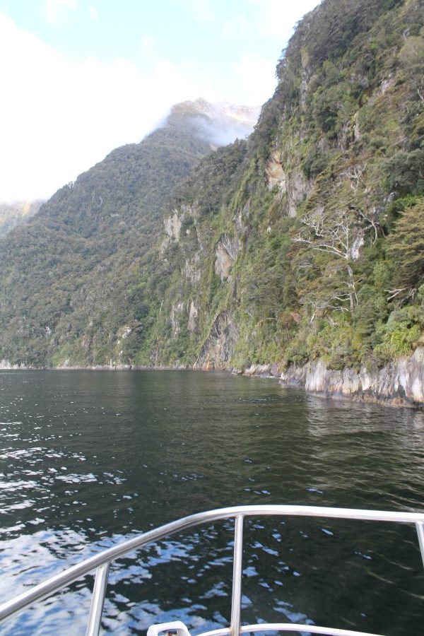 front of boat doubtful sound cruise