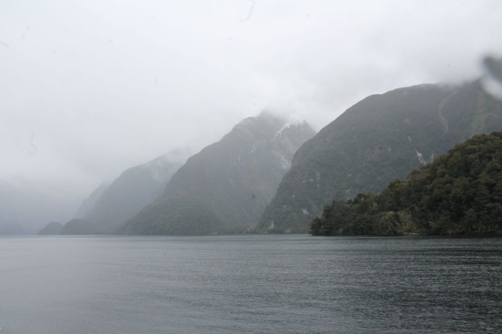 moody day in doubtful sound