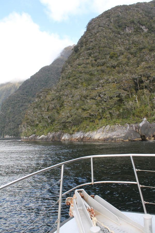 view from doubtful sound boat