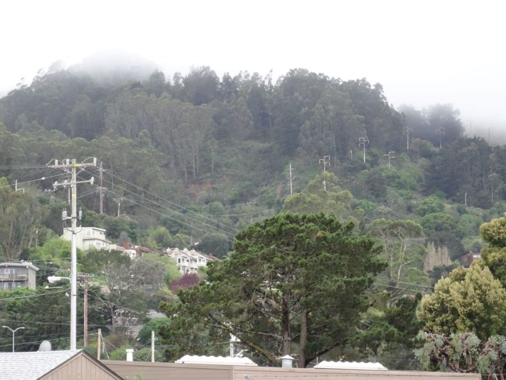 foggy day in sausalito