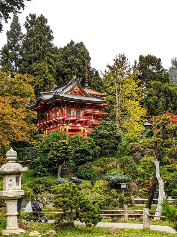 japanese gardens golden gate park 